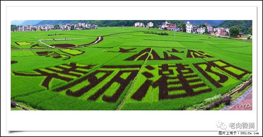 【春天，广西桂林灌阳县向您发出邀请！】开篇 - 游山玩水 - 鹤壁生活社区 - 鹤壁28生活网 hb.28life.com