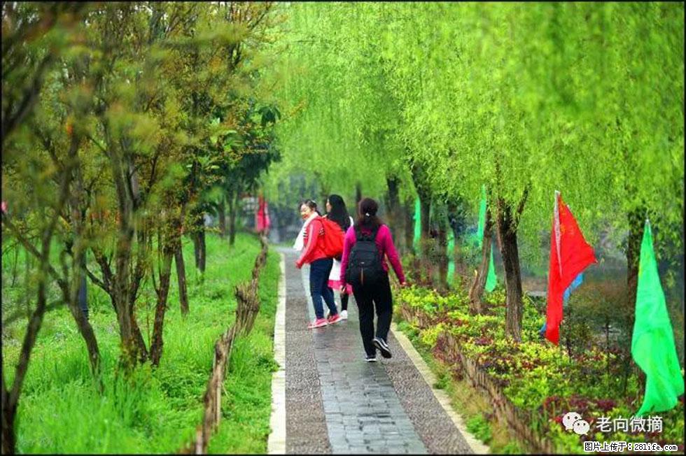 【春天，广西桂林灌阳县向您发出邀请！】江口老街又逢春 - 游山玩水 - 鹤壁生活社区 - 鹤壁28生活网 hb.28life.com