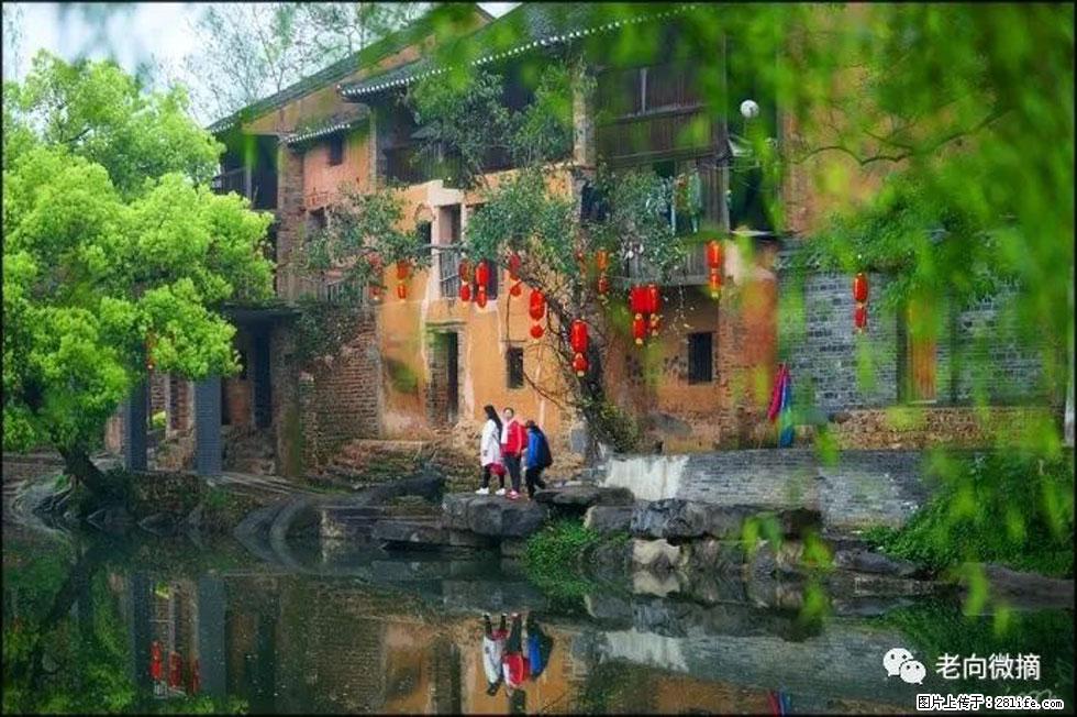 【春天，广西桂林灌阳县向您发出邀请！】江口老街又逢春 - 游山玩水 - 鹤壁生活社区 - 鹤壁28生活网 hb.28life.com