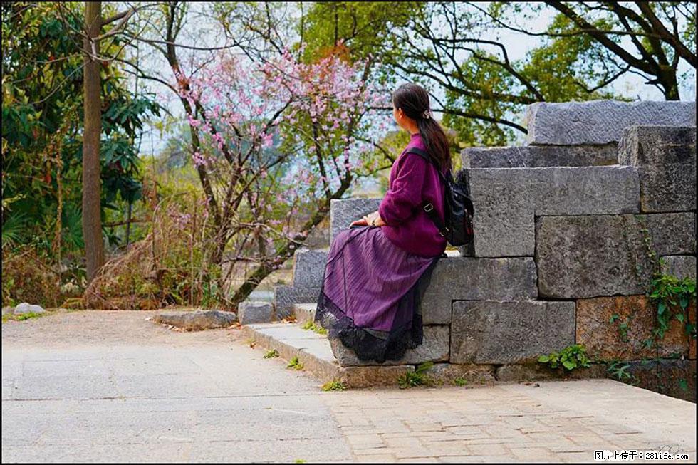 【春天，广西桂林灌阳县向您发出邀请！】江口老街又逢春 - 游山玩水 - 鹤壁生活社区 - 鹤壁28生活网 hb.28life.com