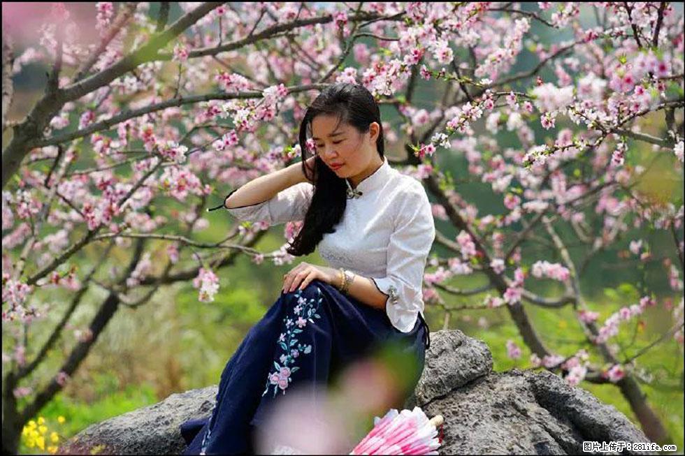 【春天，广西桂林灌阳县向您发出邀请！】望月岭上桃花开 - 游山玩水 - 鹤壁生活社区 - 鹤壁28生活网 hb.28life.com