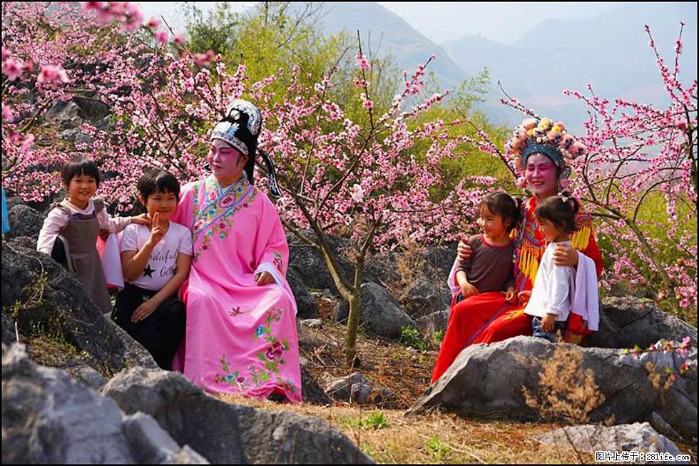 【春天，广西桂林灌阳县向您发出邀请！】望月岭上桃花开 - 游山玩水 - 鹤壁生活社区 - 鹤壁28生活网 hb.28life.com