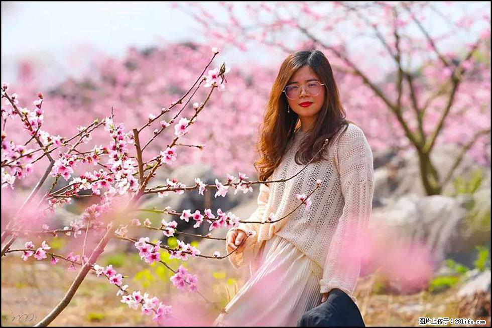 【春天，广西桂林灌阳县向您发出邀请！】望月岭上桃花开 - 游山玩水 - 鹤壁生活社区 - 鹤壁28生活网 hb.28life.com