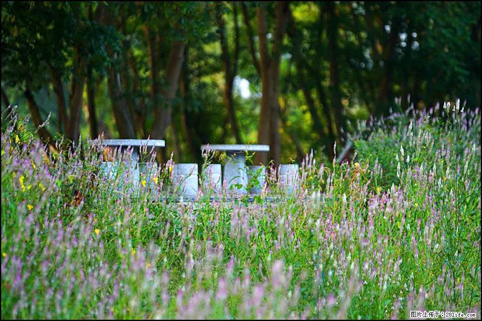 【春天，广西桂林灌阳县向您发出邀请！】熊家寨湿地公园 - 游山玩水 - 鹤壁生活社区 - 鹤壁28生活网 hb.28life.com