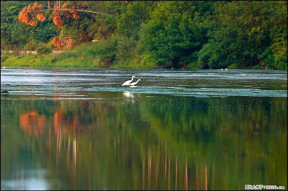 【春天，广西桂林灌阳县向您发出邀请！】熊家寨湿地公园 - 游山玩水 - 鹤壁生活社区 - 鹤壁28生活网 hb.28life.com