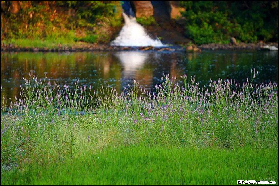 【春天，广西桂林灌阳县向您发出邀请！】熊家寨湿地公园 - 游山玩水 - 鹤壁生活社区 - 鹤壁28生活网 hb.28life.com