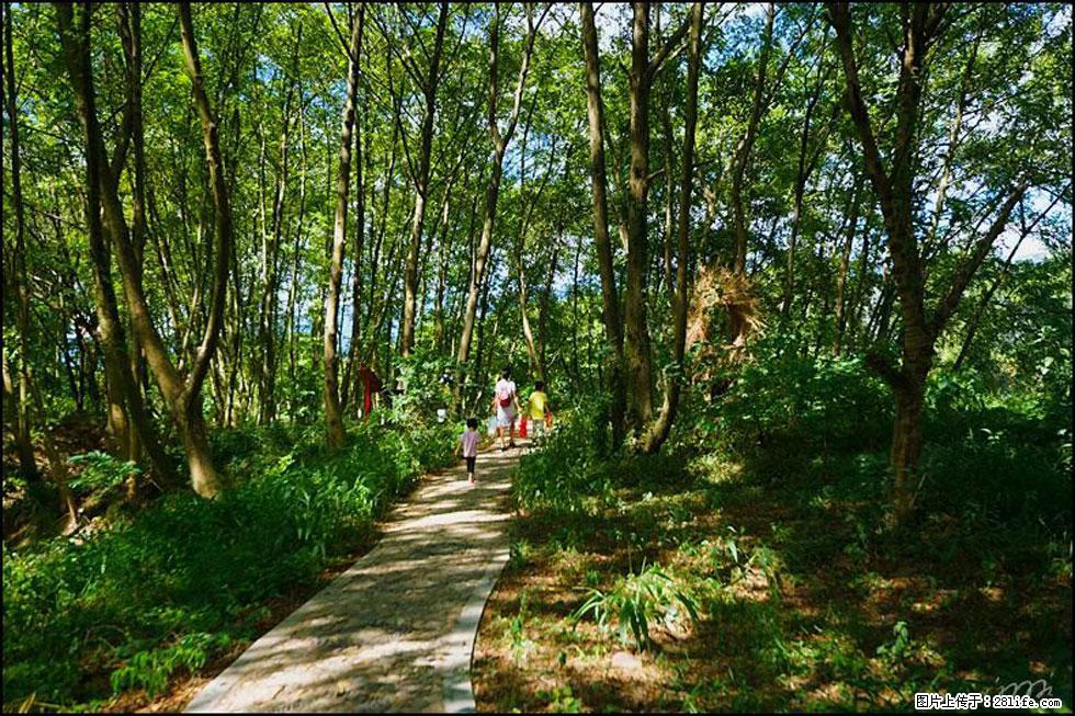 【春天，广西桂林灌阳县向您发出邀请！】熊家寨湿地公园 - 游山玩水 - 鹤壁生活社区 - 鹤壁28生活网 hb.28life.com