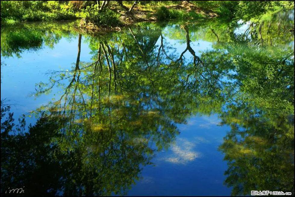 【春天，广西桂林灌阳县向您发出邀请！】熊家寨湿地公园 - 游山玩水 - 鹤壁生活社区 - 鹤壁28生活网 hb.28life.com