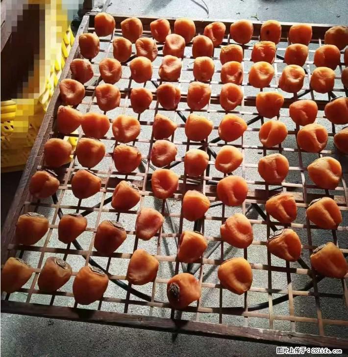 广西桂林平乐桥亭【柿饼之乡】2025年纯手工制作、无任何添加剂的第一批柿饼准备上市了,欢迎联系订购! - 美食天地 - 鹤壁生活社区 - 鹤壁28生活网 hb.28life.com