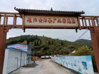 【灌阳县油茶产业示范区】一个有着充实的精神生活的人，对待身外之物自会有一种淡泊的态度 - 鹤壁28生活网 hb.28life.com