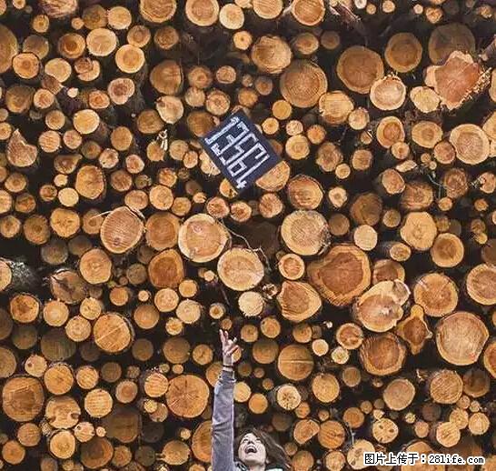 辞掉工作周游世界？现在他们在洗厕所…… - 游山玩水 - 鹤壁生活社区 - 鹤壁28生活网 hb.28life.com