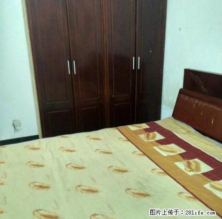 嵩山小学附近天海家属院 两室 家具家电齐全 年付便宜 - 房屋出租 - 房屋租售 - 鹤壁分类信息 - 鹤壁28生活网 hb.28life.com