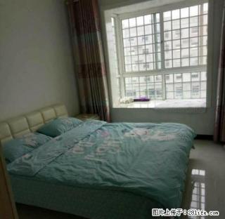 橡树玫瑰城 精装电梯房 家具家电齐全 免费登记房源 - 鹤壁28生活网 hb.28life.com