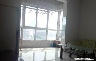 明达对面华府天下 两室电梯房 家电齐全 拎包住 两屋朝南 - 鹤壁28生活网 hb.28life.com