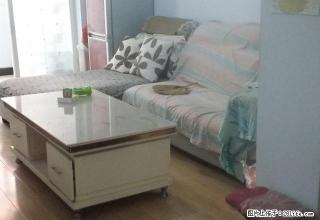 智坊苑暖气新房2楼3室1厅天然气空调热水器冰箱洗衣机电视 - 鹤壁28生活网 hb.28life.com