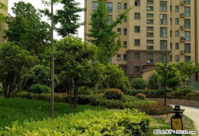 三楼 精装修 二中对面 - 房屋出租 - 房屋租售 - 鹤壁分类信息 - 鹤壁28生活网 hb.28life.com