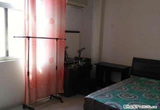 名店街 四楼 精装修 全友家具 家电齐全 可做饭 可洗澡 - 鹤壁28生活网 hb.28life.com