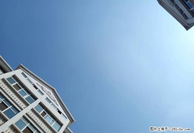 美景绿城1楼140平米,简单装修年交优惠 - 房屋出租 - 房屋租售 - 鹤壁分类信息 - 鹤壁28生活网 hb.28life.com