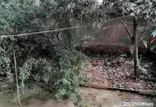 锦绣江南，两室两厅一卫 - 鹤壁28生活网 hb.28life.com