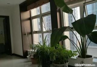 出租观景大厦写字楼精装全套办公用具 - 鹤壁28生活网 hb.28life.com