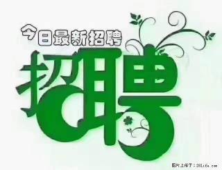 【招聘摄像师】待遇：试用期6000元/月，转正7000元/月+五险一金+餐补+节日福利+奖金 - 鹤壁28生活网 hb.28life.com