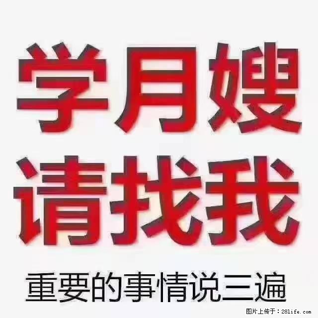 【招聘】月嫂，上海徐汇区 - 职场交流 - 鹤壁生活社区 - 鹤壁28生活网 hb.28life.com