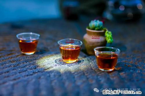 时间果百年古树2025年春红茶 - 购物交流 - 鹤壁生活社区 - 鹤壁28生活网 hb.28life.com