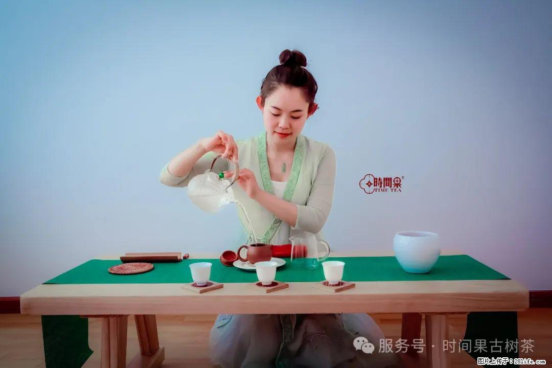 时间果百年古树龙珠普洱生茶 - 购物交流 - 鹤壁生活社区 - 鹤壁28生活网 hb.28life.com