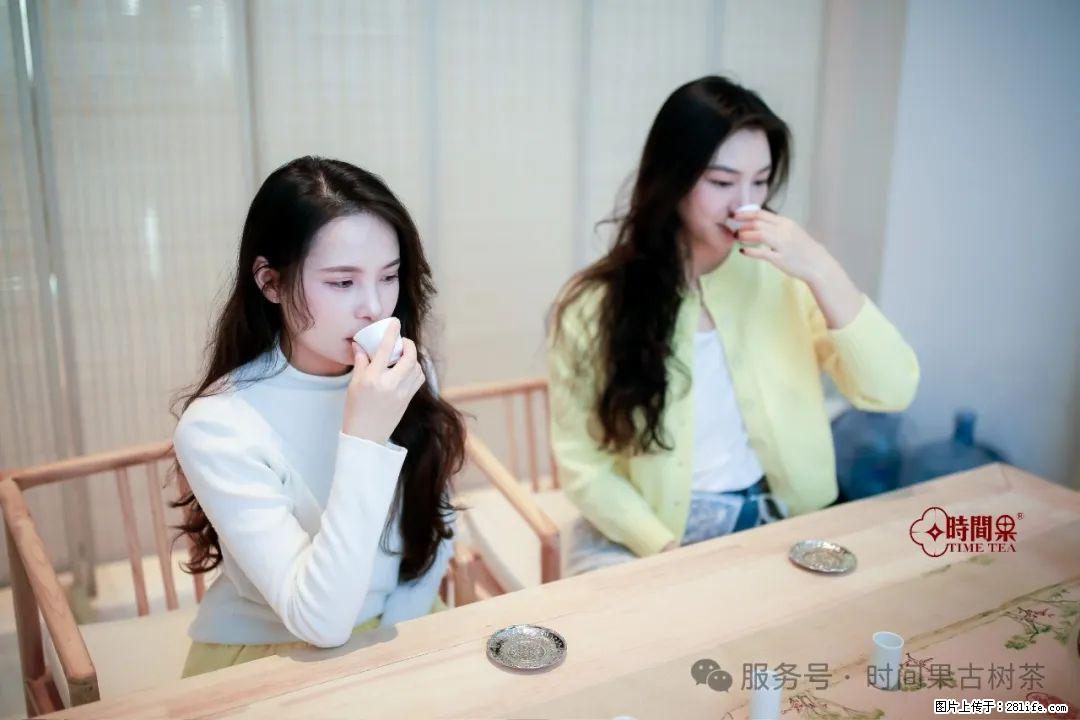 时间果百年古树龙珠普洱生茶 - 购物交流 - 鹤壁生活社区 - 鹤壁28生活网 hb.28life.com