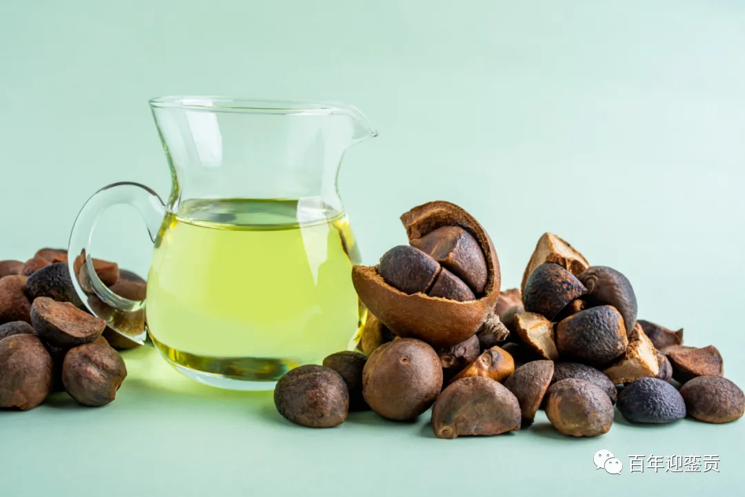 世界没有真相，只有认知，最好的食用油是中国的山茶油！ - 鹤壁生活资讯 - 鹤壁28生活网 hb.28life.com