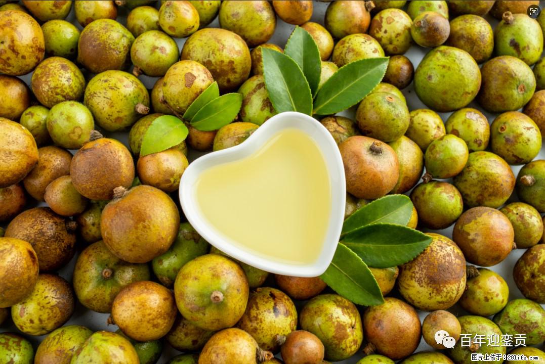 世界没有真相，只有认知，最好的食用油是中国的山茶油！ - 鹤壁生活资讯 - 鹤壁28生活网 hb.28life.com