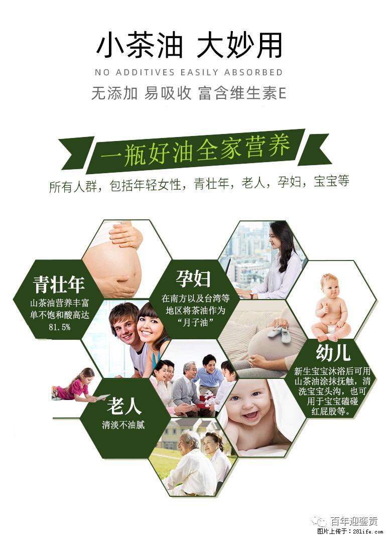 世界没有真相，只有认知，最好的食用油是中国的山茶油！ - 鹤壁生活资讯 - 鹤壁28生活网 hb.28life.com