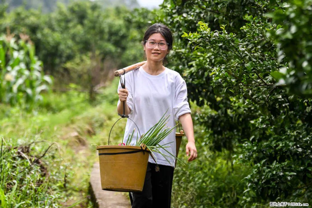 全网追的“扁担女孩”，找了一份暑假工，时薪12元 - 鹤壁生活资讯 - 鹤壁28生活网 hb.28life.com