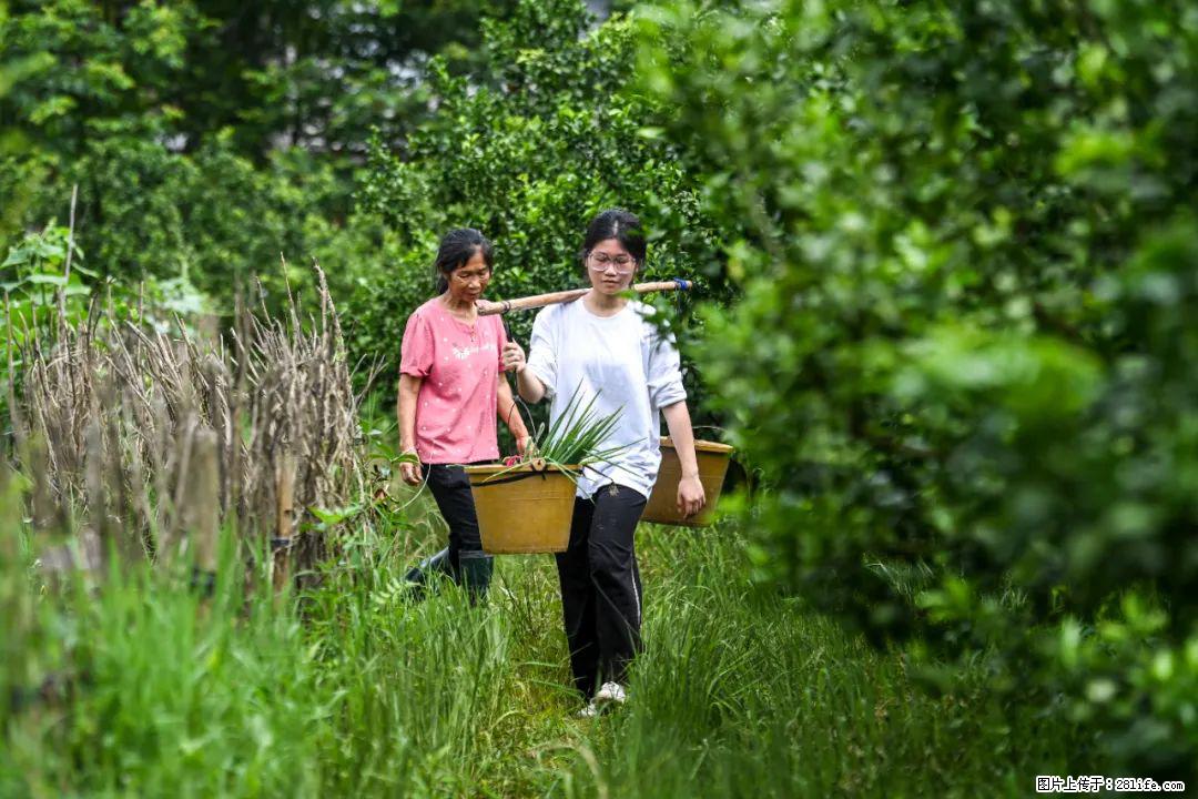全网追的“扁担女孩”，找了一份暑假工，时薪12元 - 鹤壁生活资讯 - 鹤壁28生活网 hb.28life.com