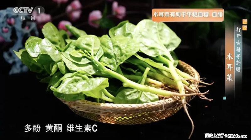 比牛奶补钙还厉害！凉血解毒、稳血糖...这菜冬天必吃，很多人却当草 - 鹤壁生活资讯 - 鹤壁28生活网 hb.28life.com
