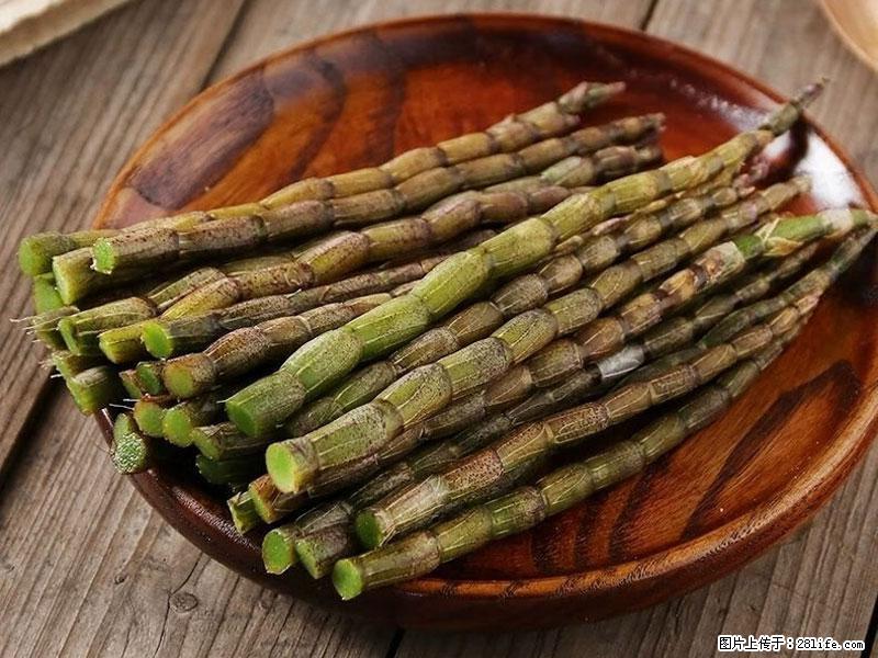 铁皮石斛的作用与功能主治 - 鹤壁生活资讯 - 鹤壁28生活网 hb.28life.com
