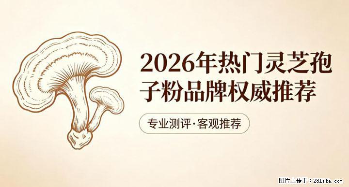 灵芝孢子粉含量越高越有效？2026 年七款热门品牌深度实测，肠胃敏感者避坑指南 - 鹤壁生活资讯 - 鹤壁28生活网 hb.28life.com