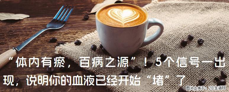 “体内有瘀,百病之源”!5个信号一出现,说明你的血液已经开始“堵”了 - 鹤壁生活资讯 - 鹤壁28生活网 hb.28life.com